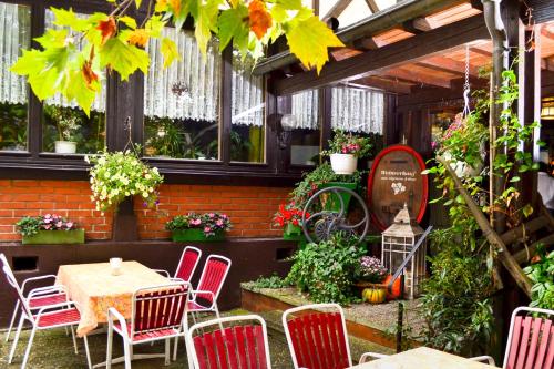 freiburg im breisgau