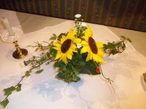 freiburg im breisgau