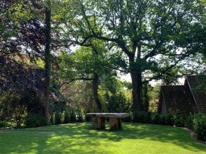 wildland natural resort