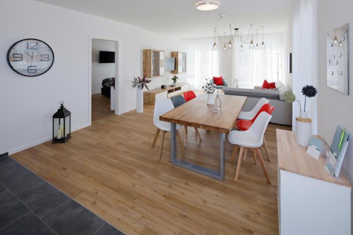 freiburg im breisgau