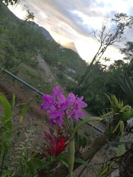 cabinas ecogarden arenal