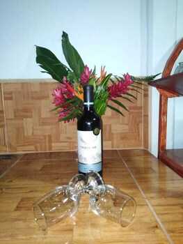 cabinas ecogarden arenal