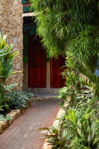 costa linda art hostel