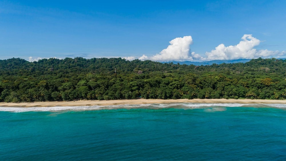 almonds and corals boutique hotel