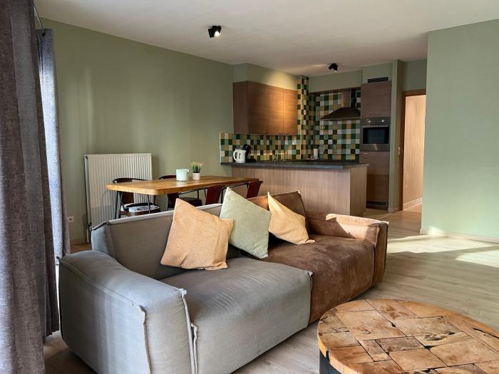 antwerp city appartment