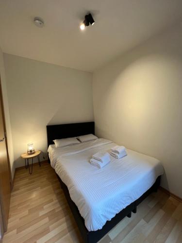 antwerp city appartment