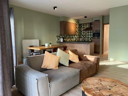 antwerp city appartment