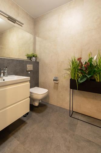 rentplanet apartamenty izerska