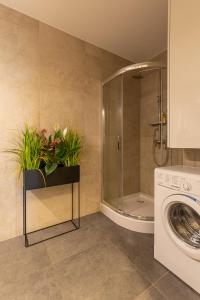 rentplanet apartamenty izerska