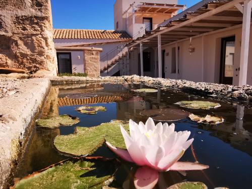 casa vacanze senia del rais