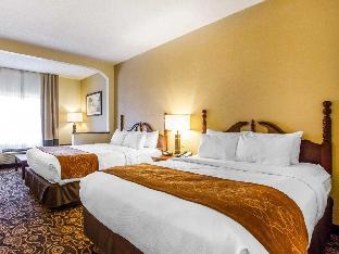comfort suites daphne mobile east bay
