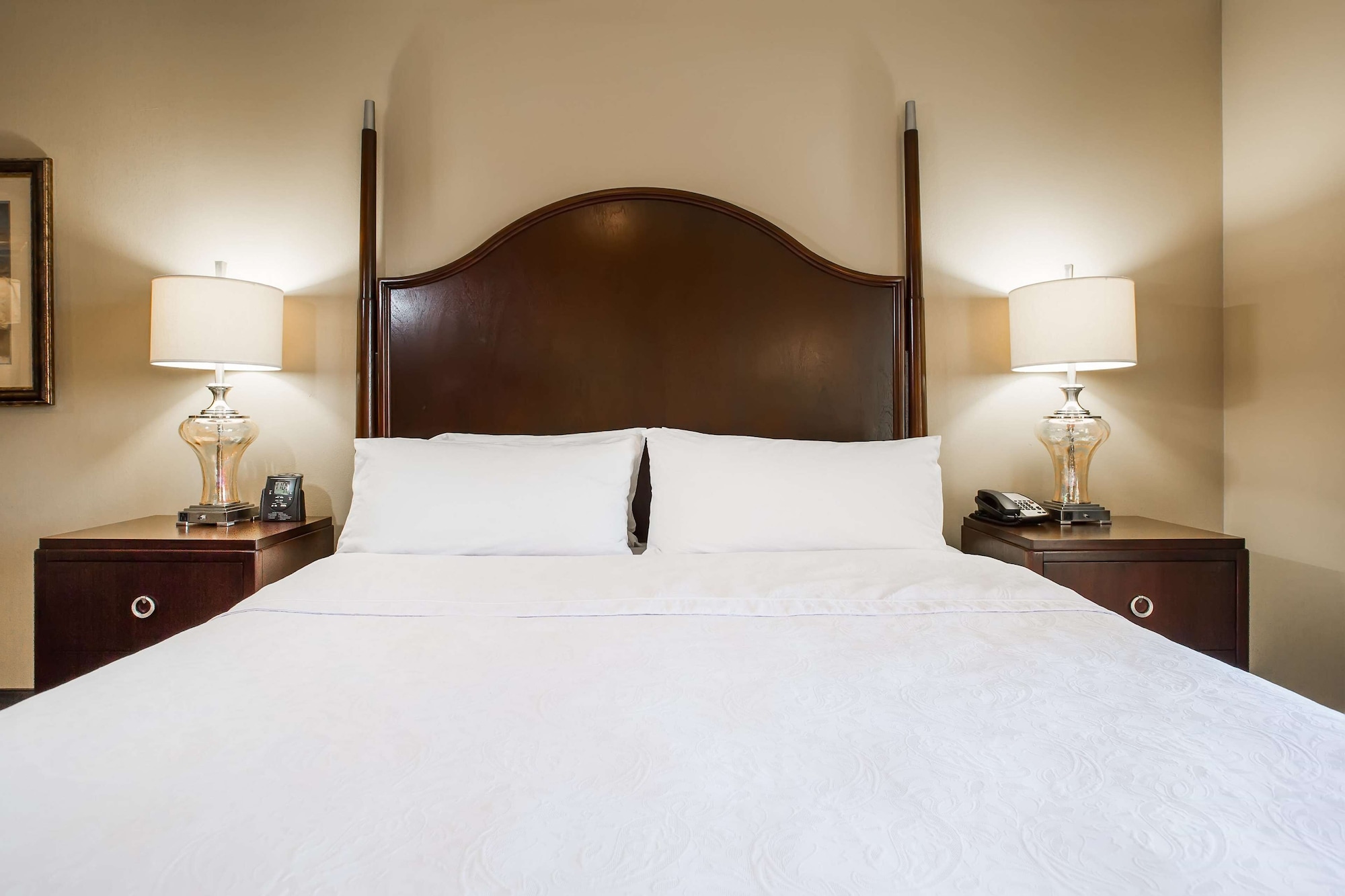 homewood suites by hilton davidson