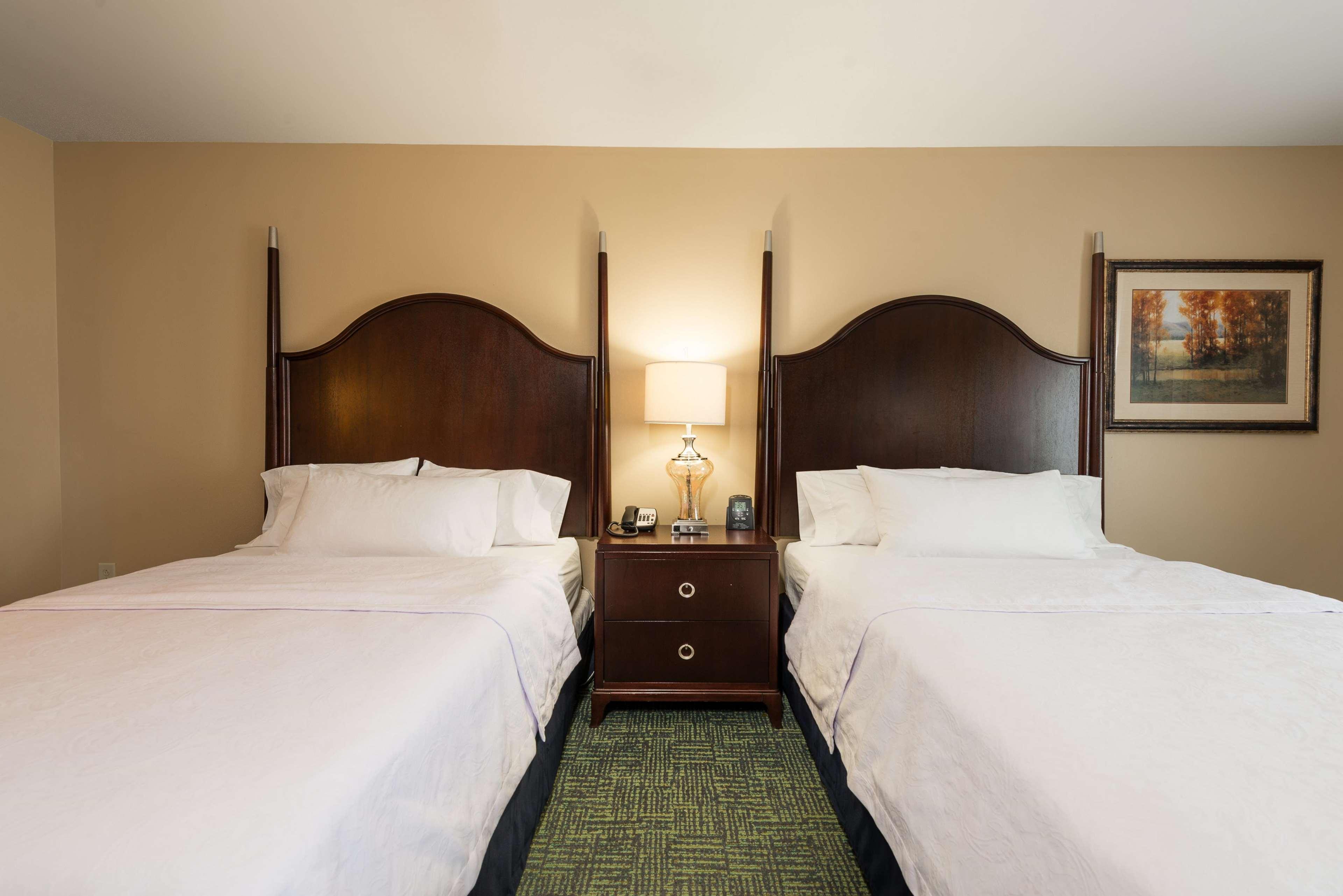 homewood suites by hilton davidson
