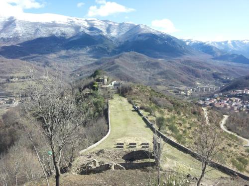 morino