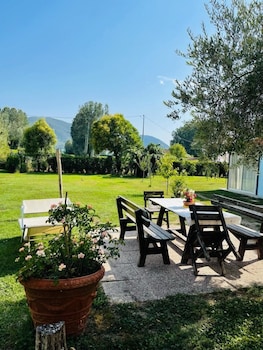 beb la rosa nel verde