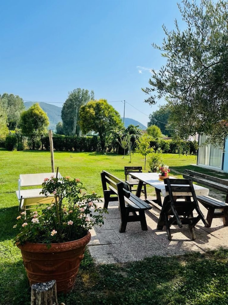 beb la rosa nel verde