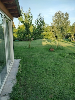 beb la rosa nel verde