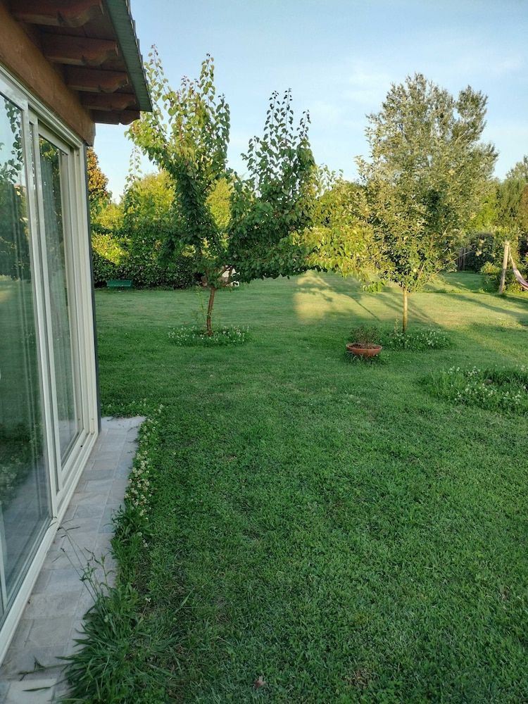 beb la rosa nel verde