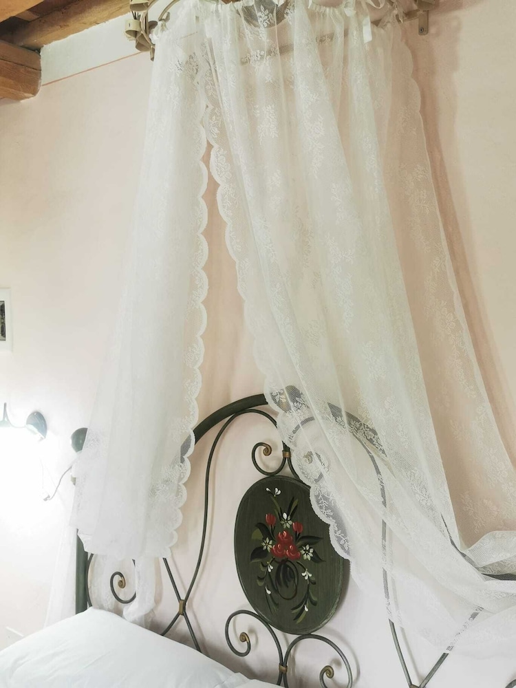 beb la rosa nel verde