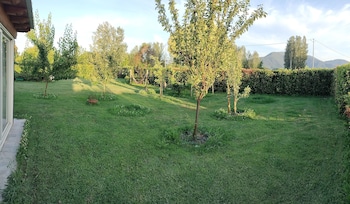 beb la rosa nel verde