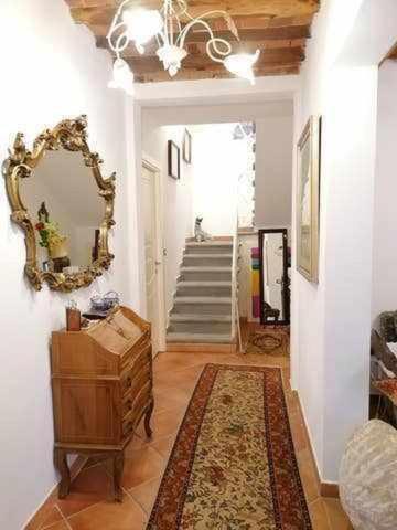 beb la rosa nel verde