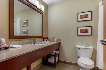 comfort suites delavan lake geneva area