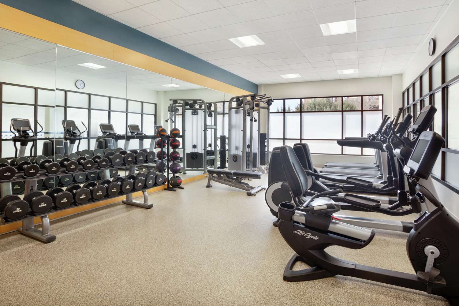 embassy suites by hilton denver international airport