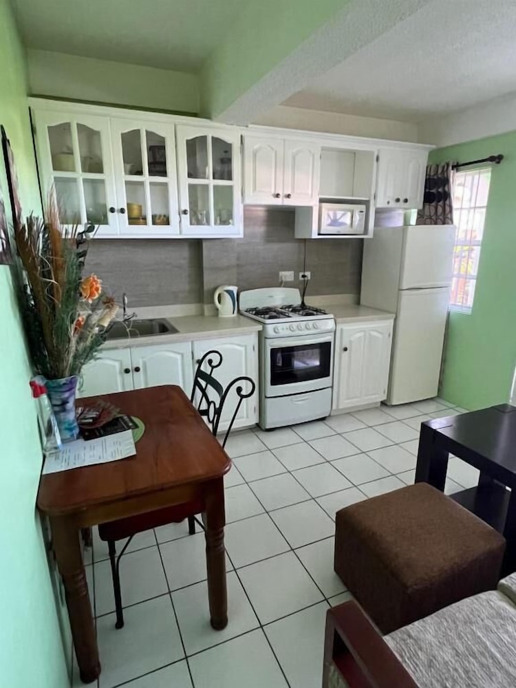 silver view apartments