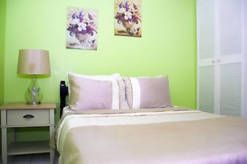 silver view apartments