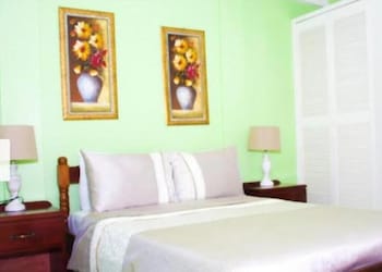 silver view apartments