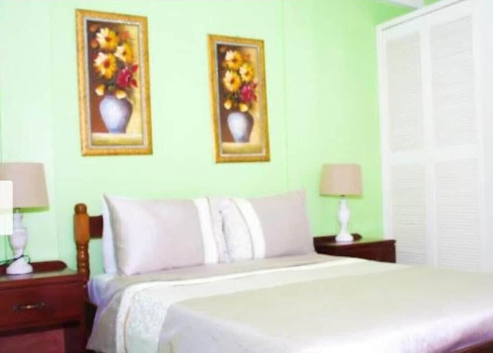 silver view apartments