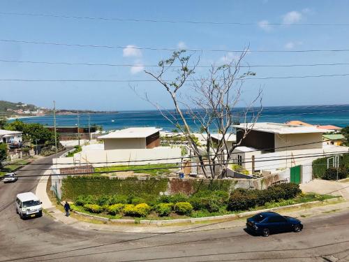 silver view apartments