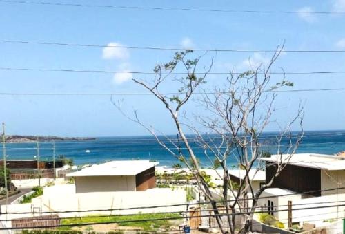 silver view apartments