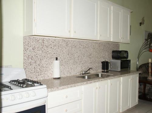 silver view apartments