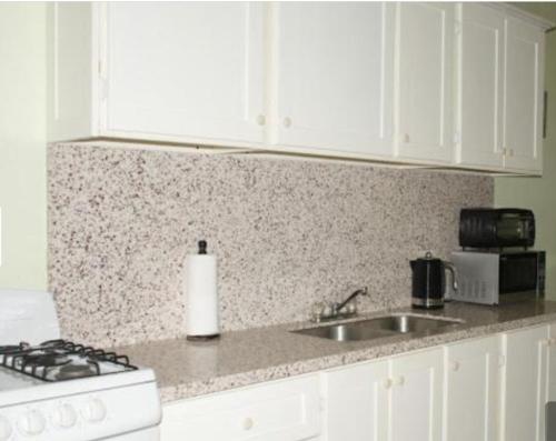 silver view apartments