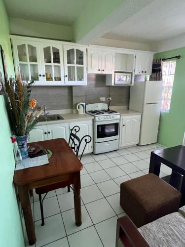 silver view apartments