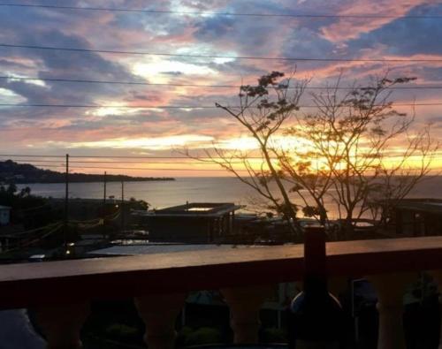 silver view apartments