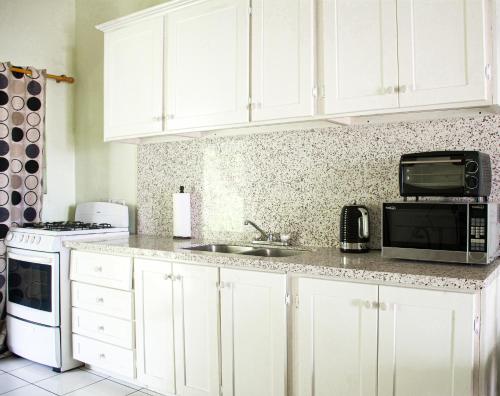 silver view apartments