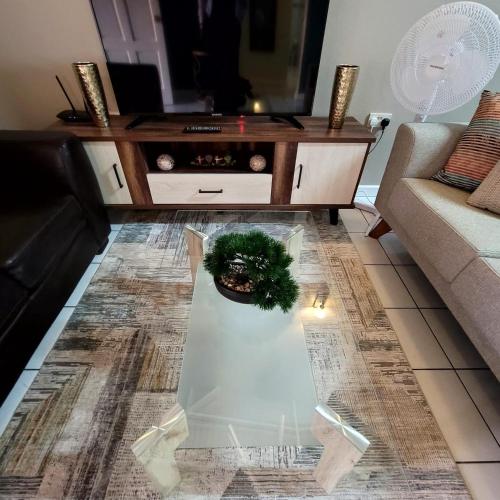 silver view apartments