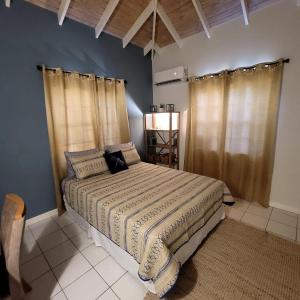 silver view apartments