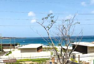 silver view apartments