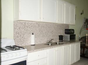 silver view apartments