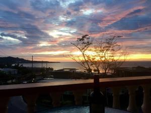 silver view apartments