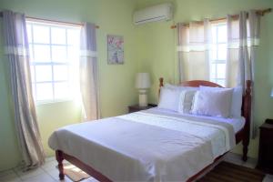 silver view apartments