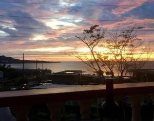 silver view apartments