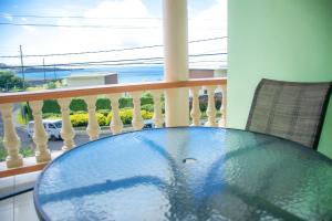 silver view apartments