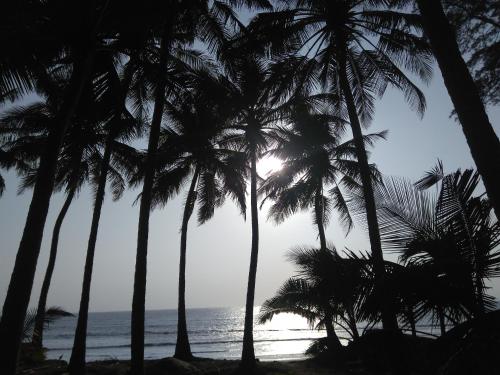 murud