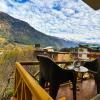 yolo backpackers max manali