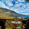 yolo backpackers max manali