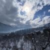 yolo backpackers max manali